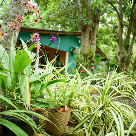 Palitha Homestay Sigirija Zewnętrze zdjęcie