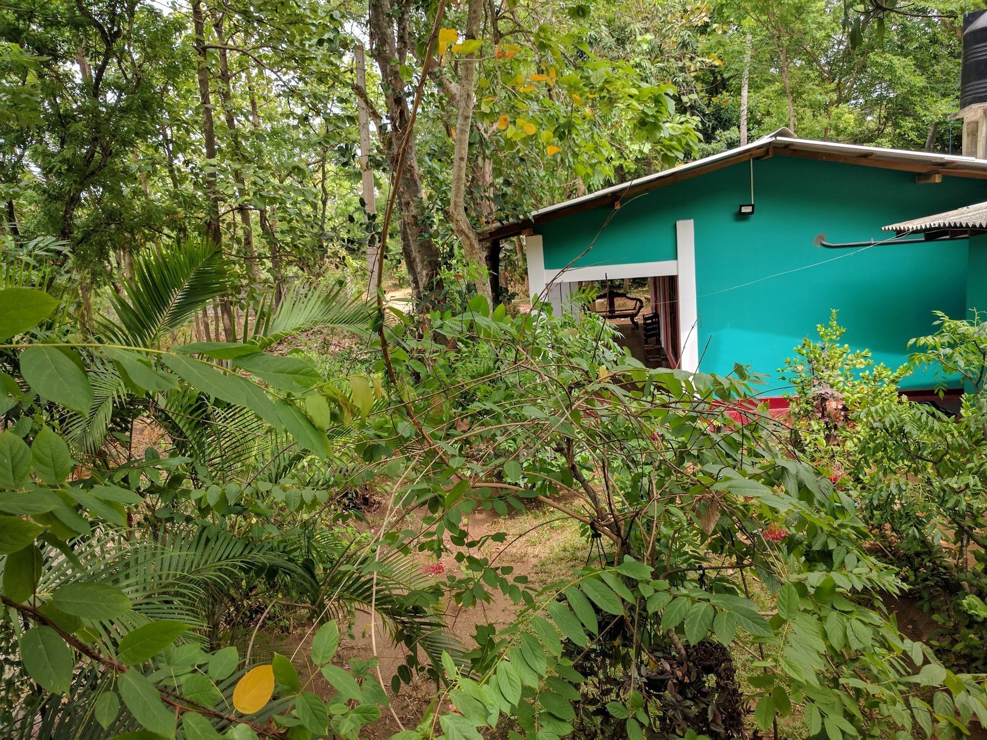 Palitha Homestay Sigirija Zewnętrze zdjęcie